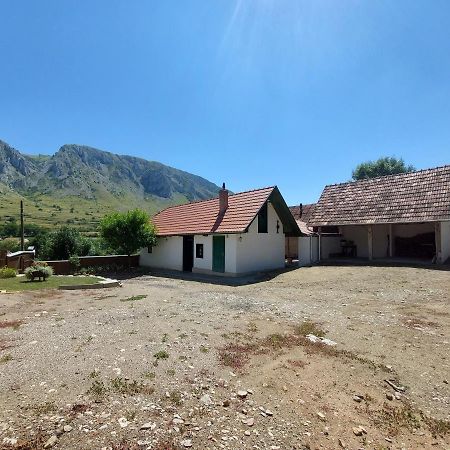 Félix ház Vila Rimetea Exterior foto